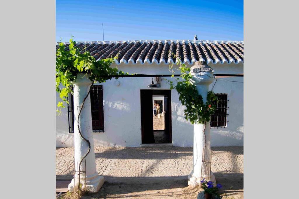 Вілла Casa El Carmen Сьюдад-Реаль Екстер'єр фото